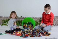 MAX_0463